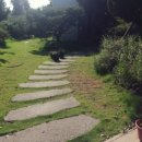 금잔디상회 이미지