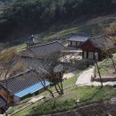 장육사