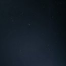 명성게찜 이미지