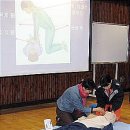 종암초교 이미지