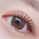 하울라스틱 이미지