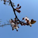 푸른수목원 | [후기] 항동 푸른수목원 숲해설