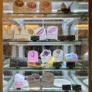 메가MGC커피 춘천애막골점 | 메가MGC커피 겨울신상 군고구마 크림브륄레 슈페너 치즈 품은 감자빵