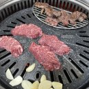 철뚝농장 네이버블로그
