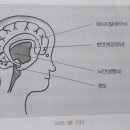 독서감정코칭 이미지