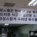 베트남쌀국수포느황