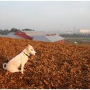 승수목장 이미지