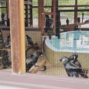 스시히로이 등 이미지