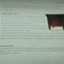 천사머리