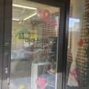 대구강아지분양 마마스미독 본점 이미지