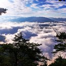 태화산 전경 이미지