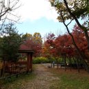 초등 감성미술 이미지