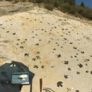 (주)티렉스 이미지