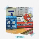 MMS코리아 | 포켓몬 카드 준다길래 1km 뛰어봤습니다｜런데이 잉어킹 카드 겟🐟