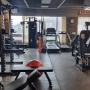 🏋️‍♂️ [도촌동헬스장] 운동 전 든든한 밥 한 끼가 명품 몸매를 만든다고?! 곡물 탄수화물의 놀라운 비밀!