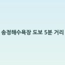 송정중앙로 네이버블로그