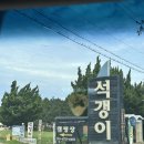 태안별빛오토캠핑장 | [애견동반캠핑] 애견동반가능한 태안 석갱이 오토캠핑장 후기
