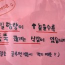 김상진 | 냉모밀.붓카케 맛집 김상진 가게 방문 후기