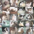 지현이네집 이미지