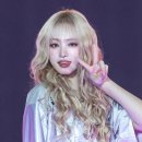 리즈컬러 이미지