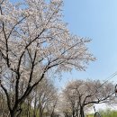 갈산공원 테니스장 이미지