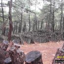 중인농장 이미지