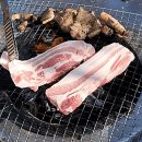고기 - 서구 둔산남로 162 | 고기