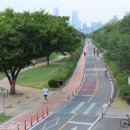 지천생태길 이미지