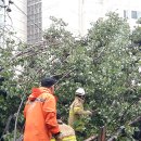 금낭화로26길 이미지