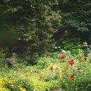 방구석테라피 이미지