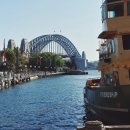 (주)보고여행사 이미지