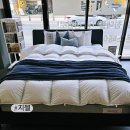 국민최상병원 | 시몬스 익산점 방문 후 신혼 침대 매트리스 추천 받은 후기