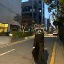 가을, 겨울 데일리룩 구매후기-JUUN.J준지여성
