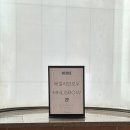 늘봄브로우