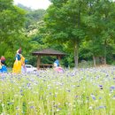 호동골공원 이미지