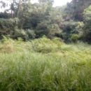 덕봉농장 이미지