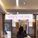 도영헤어살롱 네이버블로그