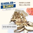 숲사랑농원 이미지