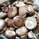 주식회사 가치채움 이미지