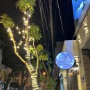 궁인테리어 건물 | 나트랑 키즈 마사지 프라이빗룸 만족후기 궁스파