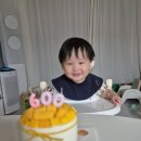 더디자인성형외과의원 | 19개월 아기 귀 찢어짐 창상봉합술 후기 | 부산 외상성형외과, 케이성형외과의원, 위아더성형외과의원