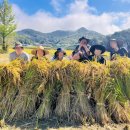 느루농장 이미지