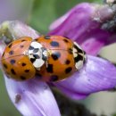 봉남면사무소 이미지