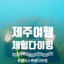 함덕스쿠버다이빙 | 제주여행 여자 혼자 함덕 체험 스쿠버다이빙 후기