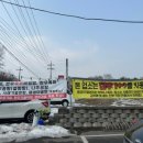 파사성 소나무 이미지