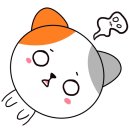 스피드메이트 대전용산점 이미지