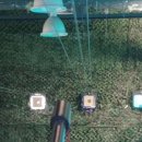 레드게임랜드 이미지