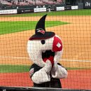 정일파크 | [250916 | KT vs LG] KT위즈파크 하이파이브존 6열 시야 및 직관 후기