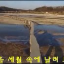 외나무 다리/ 나훈아(최무룡) 이미지