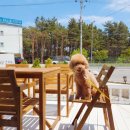 cafe 255 (카페 이오오)